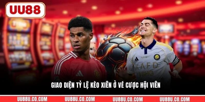 Giao diện tỷ lệ kèo xiên ở vé cược hội viên